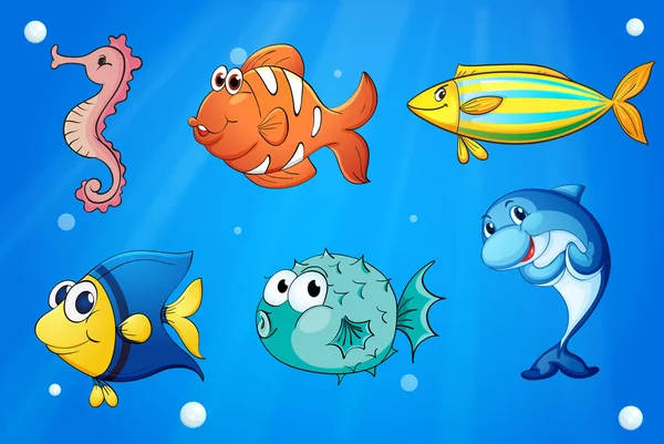 Colorful sea creatures — Stock Vector