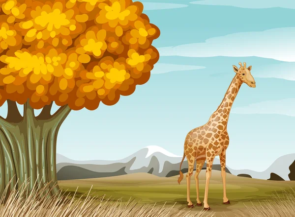 Une girafe près du grand arbre — Image vectorielle