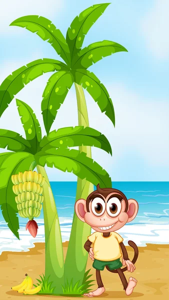 Um macaco sorridente na praia perto da bananeira — Vetor de Stock