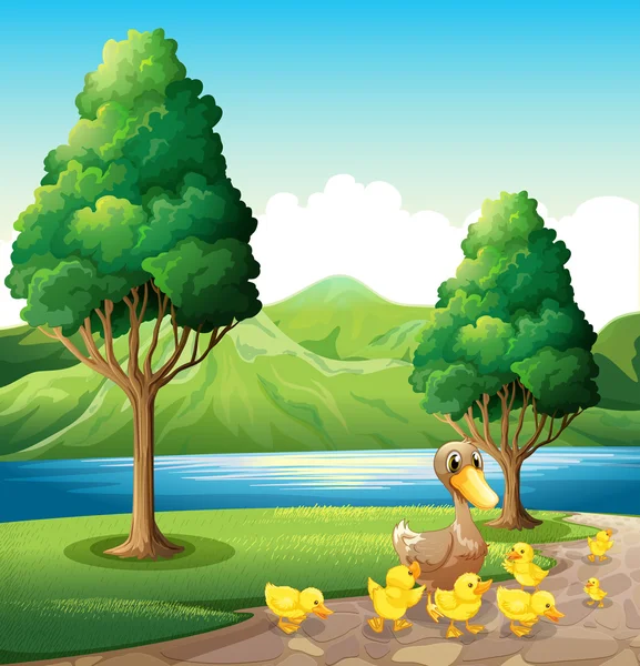 Una familia de pato en la orilla del río — Vector de stock