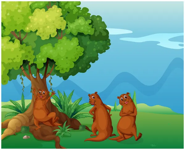 Tres animales salvajes juguetones cerca del gran árbol viejo — Vector de stock