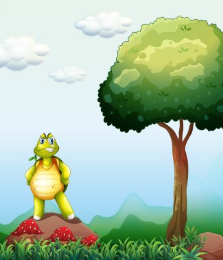 Bir kaplumbağa ayakta tree yakınındaki rock yukarıda
