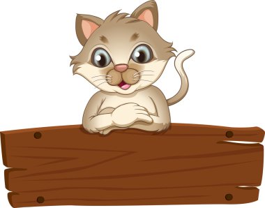 bir kedi ile boş bir ahşap tabela