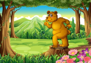 bir ayı ile kütük