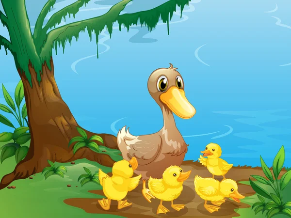 A duck and her ducklings at the riverbank — Stock Vector