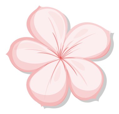 5-petal Pembe çiçek