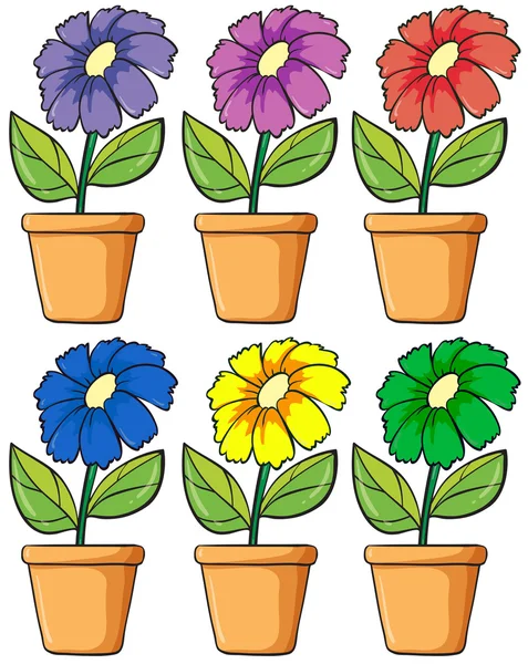 Pots avec plantes à fleurs — Image vectorielle