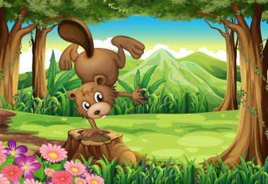 güdük üzerinde kunduz