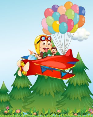 bir uçak ile maymun