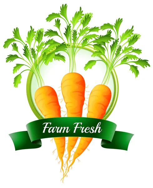 Zanahorias frescas con una etiqueta fresca de granja — Vector de stock