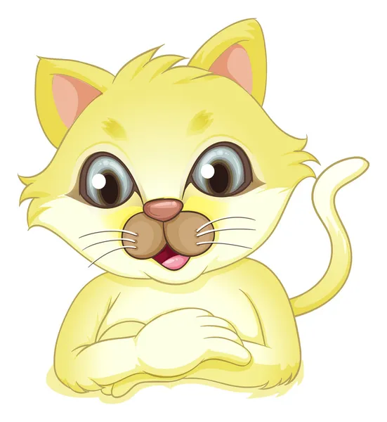 A yellow cat — Stock Vector