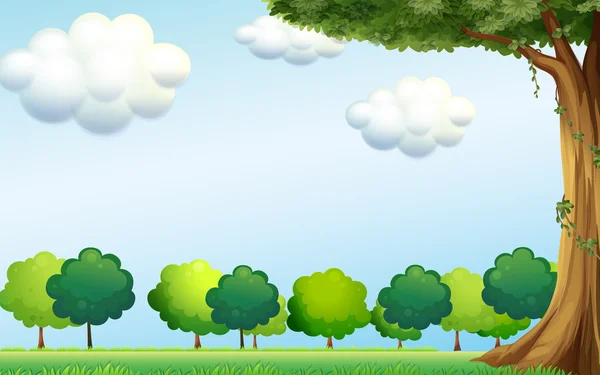 Ενός σαφούς μπλε ουρανού και τα πράσινα δέντρα — Διανυσματικό Αρχείο