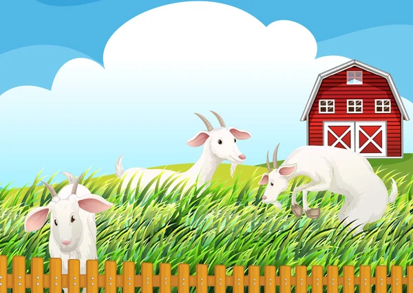 Une ferme avec trois chèvres — Image vectorielle