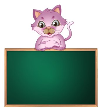 sevimli bir kedi ile boş bir greenboard