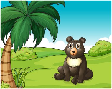 tepeler, şirin şişko ayı