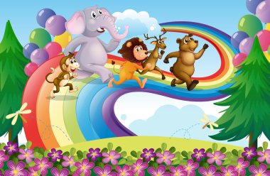 hayvanlar rainbow grubu