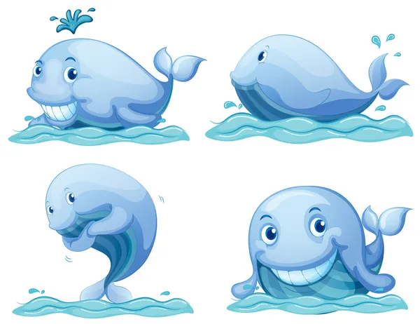 Blue whales — Stock Vector