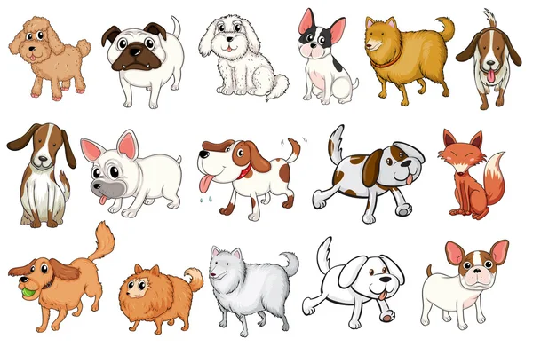 Diferentes razas de perros — Vector de stock