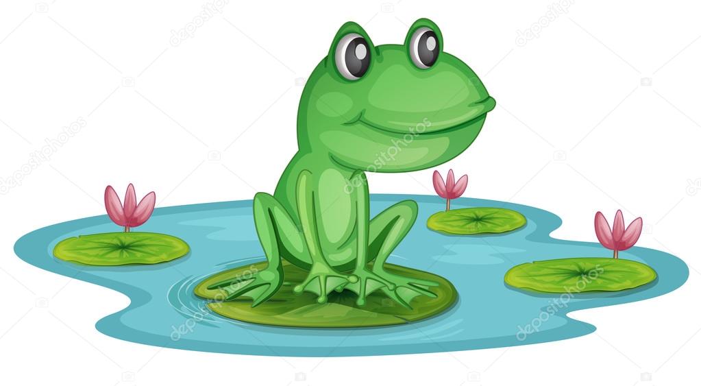 A pond with a frog