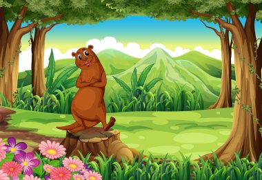 ormandaki güdük üzerinde gülümseyen bir sealion