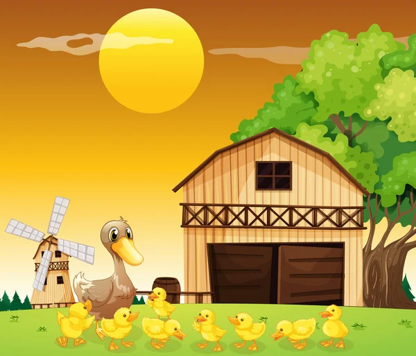 A duck and her ducklings outside the farmhouse — Stock Vector