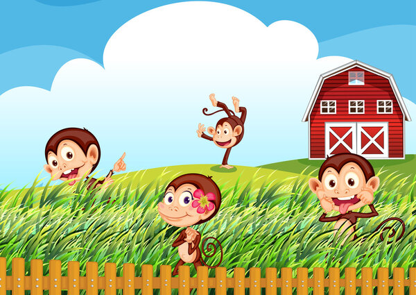 Ферма с обезьянами
