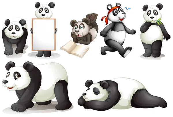 Sept pandas — Image vectorielle