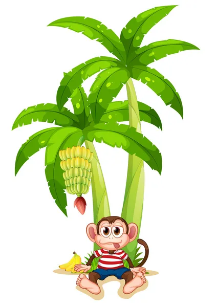 A monkey under the banana plant — Stock Vector