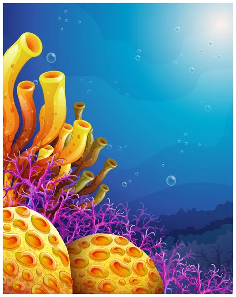 Beautiful corals under the sea — Stock Vector