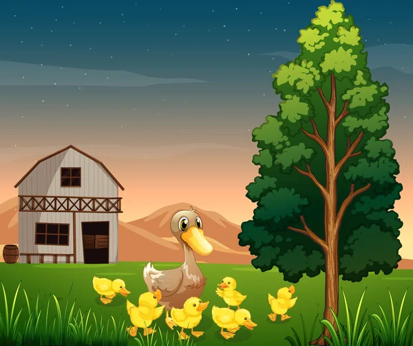Eine Ente und ihre Entchen über den Stall auf dem Hof — Stockvektor