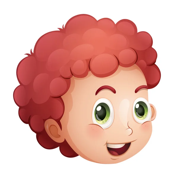 A face of a curly haired young man — Stock Vector