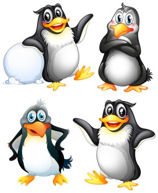 Four playful penguins