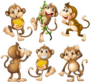 Картина, постер, плакат, фотообои "игривые обезьяны
", артикул 43546065