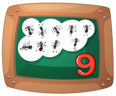 dokuz sinekler ile bir yazı tahtası