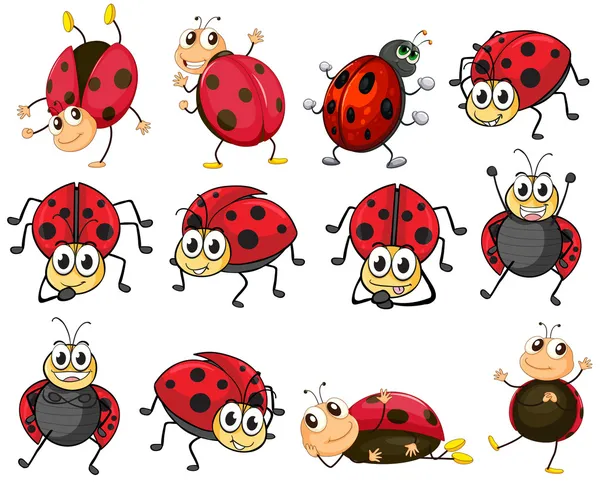 Cute ladybugs — Stock Vector