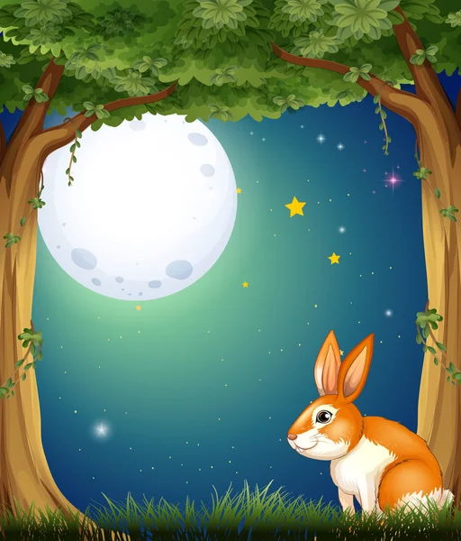 Um coelho na floresta sob a lua cheia brilhante —  Vetores de Stock