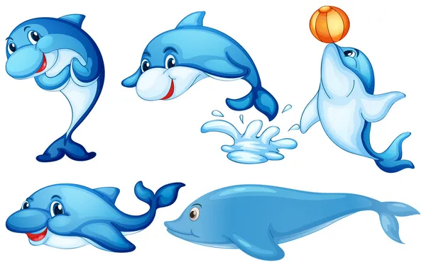 Delfines juguetones — Vector de stock