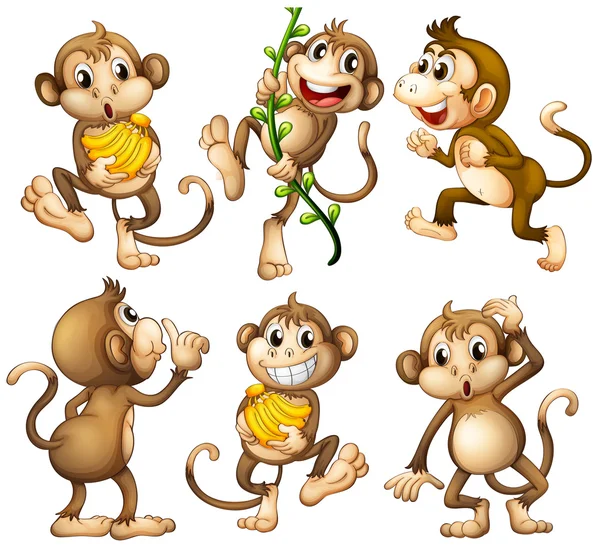 Playful wild monkeys — Stock Vector