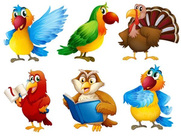 Colourful feathered creatures — Stock Vector