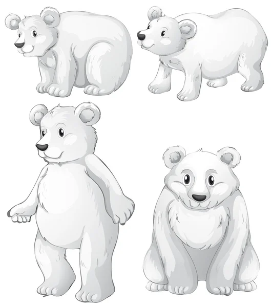 Cztery białe niedźwiedzie polarne — Wektor stockowy