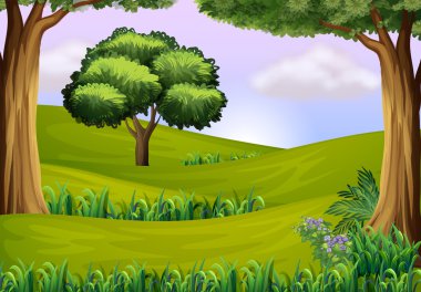 ağaçların tepeleri