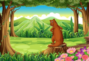 Orman, güdük yukarıda vahşi bir hayvan