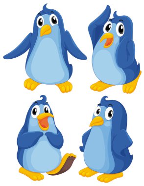dört mavi penguenleri
