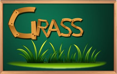 bir karatahta çim ile