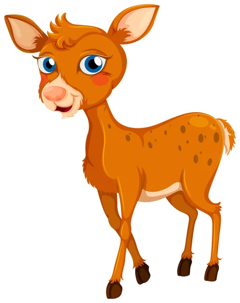 A little deer — Stock Vector