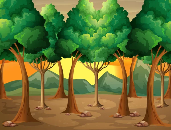 Trees at the forest — Stock Vector