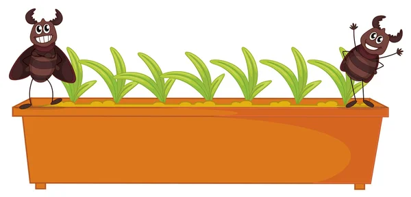 Lekefulle kakerlakker nær plantene – stockvektor