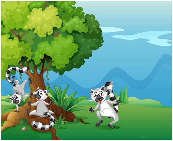 Lemury figlarny grający w pobliżu wielkie drzewo — Wektor stockowy