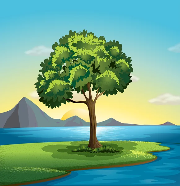 A tree near the ocean — Stock Vector