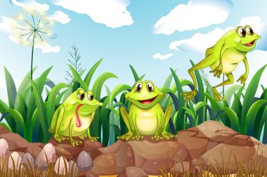Three frogs above the rocks clipart